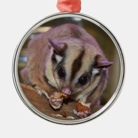 Pet Sugar Glider Metalen Ornament (Voorkant)