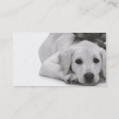 Pet Supply/Groomer/enz. Visitekaartje (Achterkant)