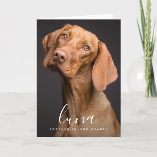 Pet Sympathiakaart Memorial Bedankkaart (Voorkant)