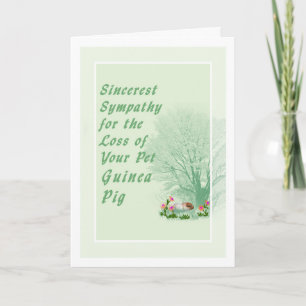 Pet Sympathiakaart voor verlies van Pet Guinee Pig Kaart