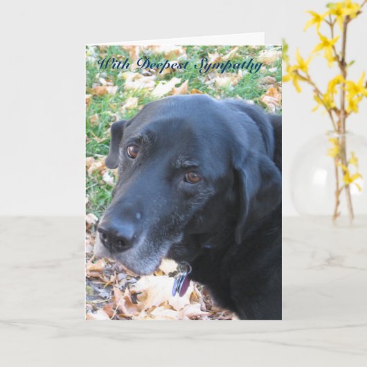 Pet Sympathie Kaart (Gele Bloem)