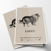 Pet Sympathie Kaarten | Beste vriend Collie