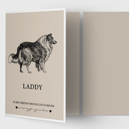 Pet Sympathie Kaarten | Beste vriend Collie