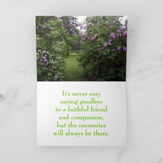 Pet Sympathie-liefdevolle Lila Struik Kaart (Binnen)