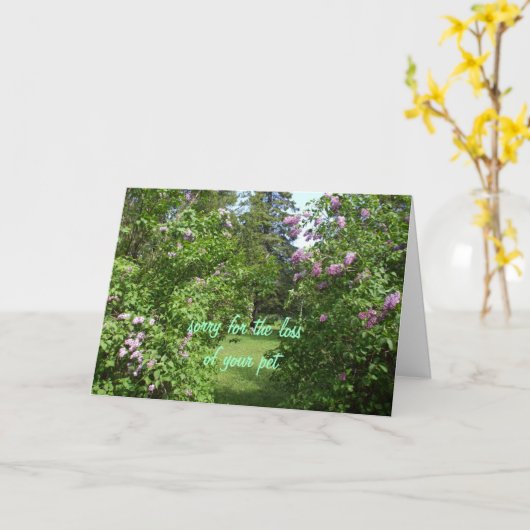 Pet Sympathie-lila Struik Kaart (Gele Bloem)