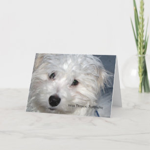 Pet Sympathie - verlies van een hond Kaart