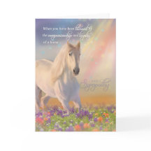 Pet Sympathie Verlies van een paardenregenboogpaar