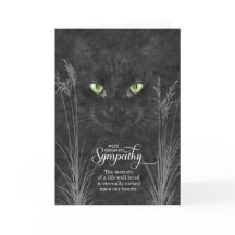 Pet Sympathie voor verlies van een kat-steenkoolgr