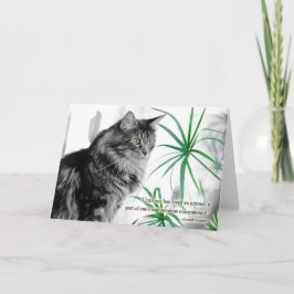 Pet Sympathiekaart voor kat Kaart