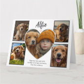 Pet Sympathy 5 Fotocollage Kaart (Voorkant)