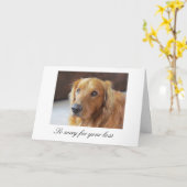 Pet Sympathy Card met Golden Retriever Kaart (Gele Bloem)