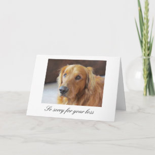 Pet Sympathy Card met Golden Retriever Kaart