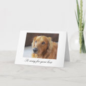 Pet Sympathy Card met Golden Retriever Kaart (Voorkant)