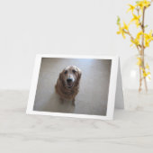Pet Sympathy Card - "vrouw" Kaart (Gele Bloem)