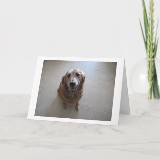 Pet Sympathy Card - "vrouw" Kaart (Voorkant)
