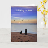 Pet Sympathy Loss of Cat or Dog Silhouetted Beach Kaart (Gele Bloem)