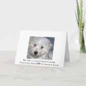 Pet Sympathy - verlies van een hond Kaart (Achterkant)