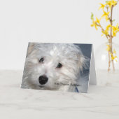 Pet Sympathy - verlies van een hond Kaart (Gele Bloem)