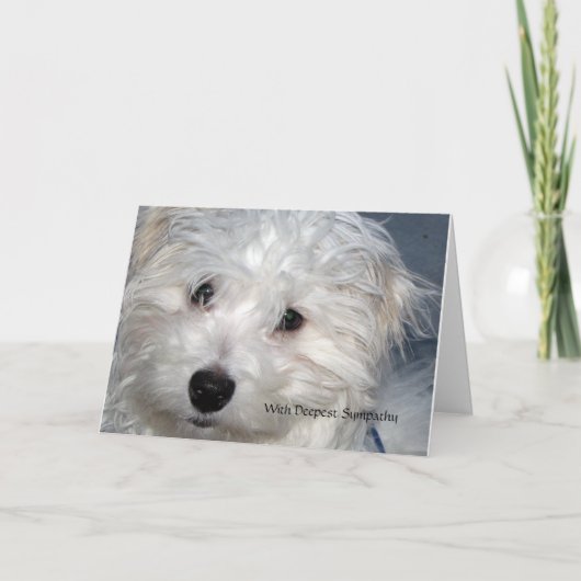 Pet Sympathy - verlies van een hond Kaart (Voorkant)