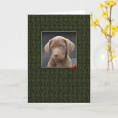 Pet Sympathy Verlies van Kaarten (Gele Bloem)