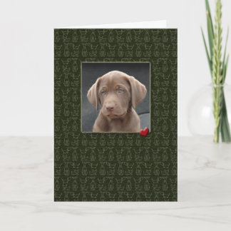 Pet Sympathy Verlies van Kaarten