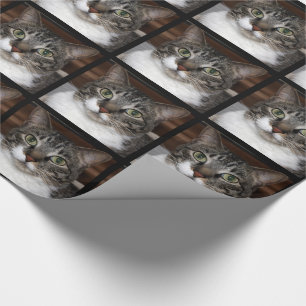 Pet Tabby Cat Face Animal Fotografie Cadeaupapier
