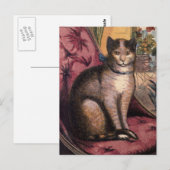 Pet Tabby Cat met Collar Blue Ribbon Briefkaart (Voorkant / Achterkant)