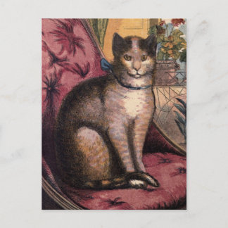 Pet Tabby Cat met Collar Blue Ribbon Briefkaart