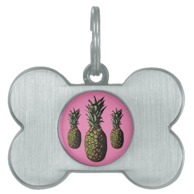 Pet-tags ananas huisdieren naamplaatje (voorkant)
