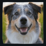 Pet toevoegen Foto aanpassen Bandana<br><div class="desc">Voeg huisdier foto aanpassen,  voeg huisdier foto,  voeg hond foto,  huisdier,  huisdieren,  hond,  personaliseren,  aanpassen,  foto,  generatieve inhoud</div>