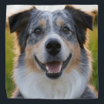 Pet toevoegen Foto aanpassen Bandana<br><div class="desc">Voeg huisdier foto aanpassen,  voeg huisdier foto,  voeg hond foto,  huisdier,  huisdieren,  hond,  personaliseren,  aanpassen,  foto,  generatieve inhoud</div>