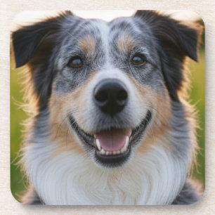 Pet toevoegen Foto aanpassen Bier Onderzetter