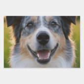 Pet toevoegen Foto aanpassen Inpakpapier Vel (Voorkant 3)