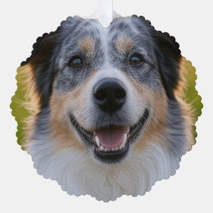 Pet toevoegen Foto aanpassen Ornament Kaart