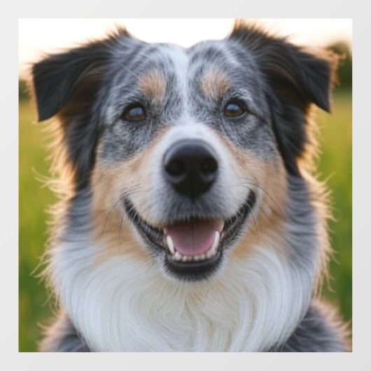 Pet toevoegen Foto aanpassen Raamsticker (Vel)