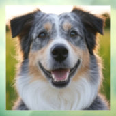 Pet toevoegen Foto aanpassen Raamsticker (Vel 3)