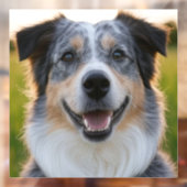 Pet toevoegen Foto aanpassen Raamsticker (Vel 2)