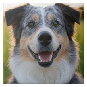 Pet toevoegen Foto aanpassen Tegeltje