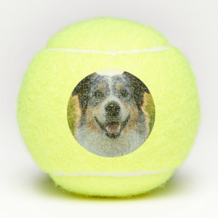 Pet toevoegen Foto aanpassen Tennisballen