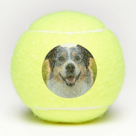 Pet toevoegen Foto aanpassen Tennisballen (Voorkant)