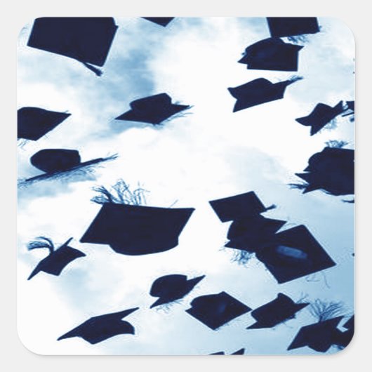 Pet Toss Afstuderen Square Vierkante Sticker (Voorkant)