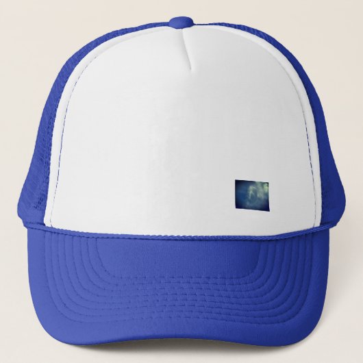 Pet TRUCKER HOOFDDEKSEL (Voorkant)