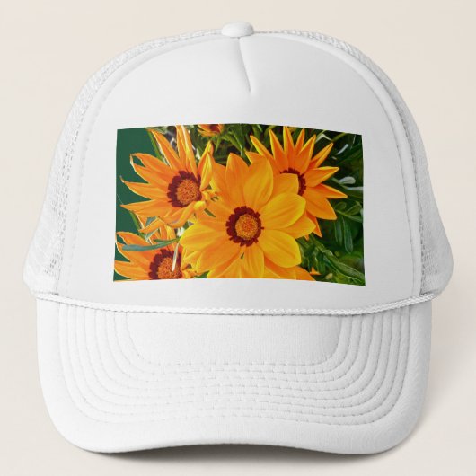 Pet van Afrikaanse Daisies (Voorkant)