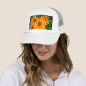Pet van Afrikaanse Daisies (In situ)