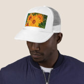 Pet van Afrikaanse Daisies (In situ)
