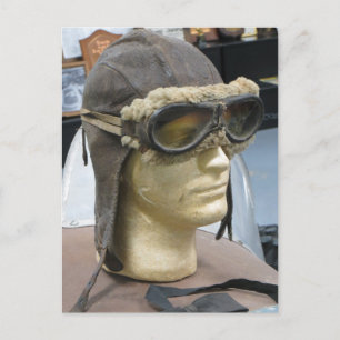 Pet van Aviator Briefkaart