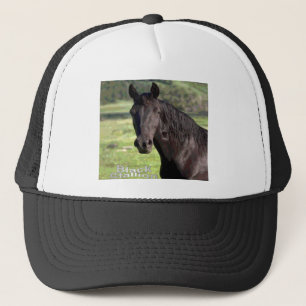 Pet van Black-Stallion