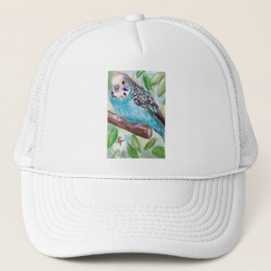 Pet van Blue Paraket