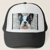 Pet van Bulldog (Voorkant)