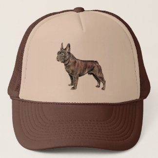Pet van Bulldog